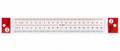 Bi-Trust Plastic Ruler 20 cm, Transparent with Metric and Inch Markings