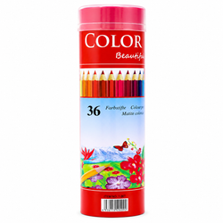 36 Color Pencil Round BT-7453